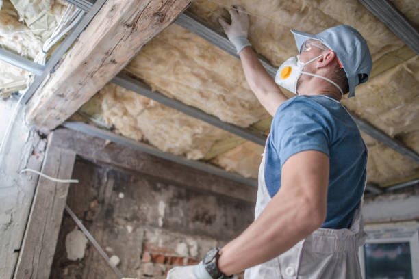 Best Geographic-Specific Insulation Services in Stanberry, MO